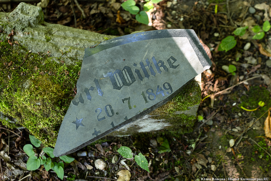 «Золотое место»: на территории еврейского кладбища планируют обустроить мемориальный парк   ﻿