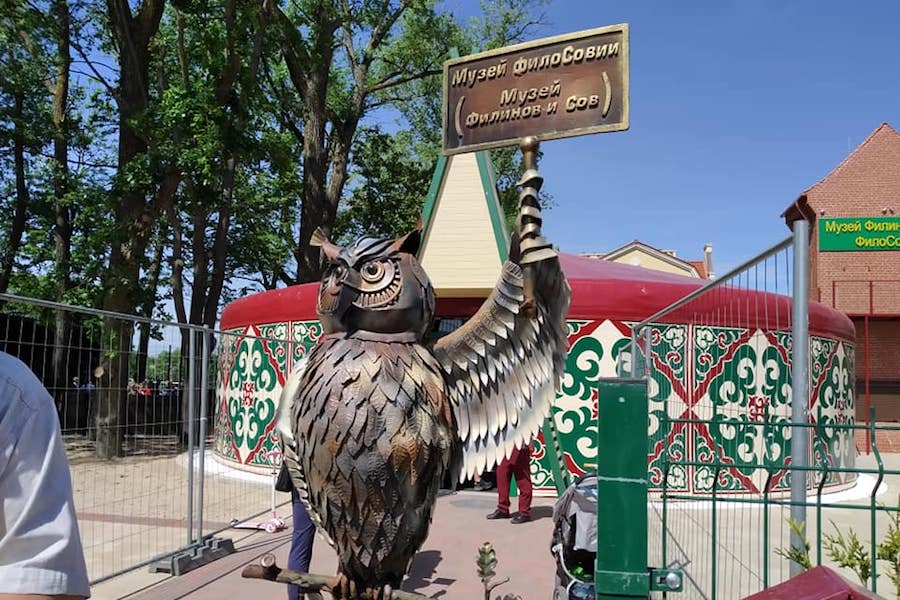 В Зеленоградске открылся музей филинов и сов (фото)