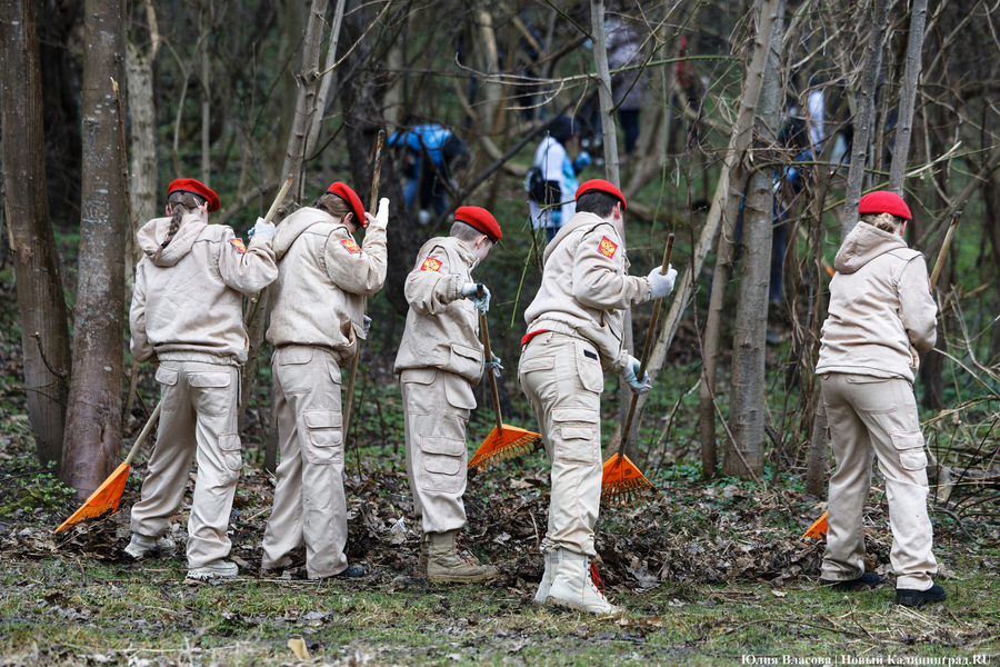 «Коммунальный Новый год»: как в Калининграде прошёл общегородской субботник