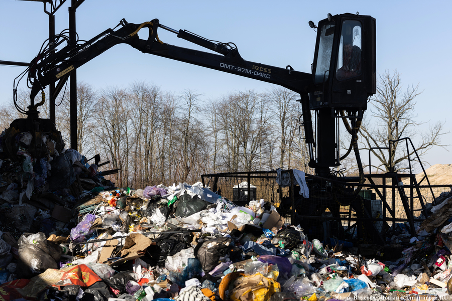 Сортировка и тотальный учёт: как устроен полигон ТБО в Жаворонково (фото)