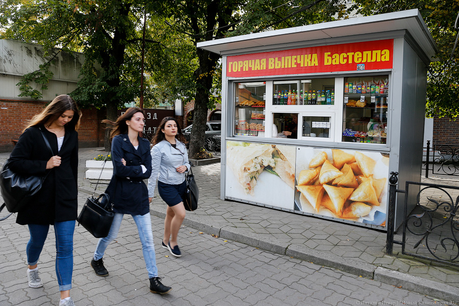 «Куда потом, воровать?»: Калининград на пороге новой палаточной войны