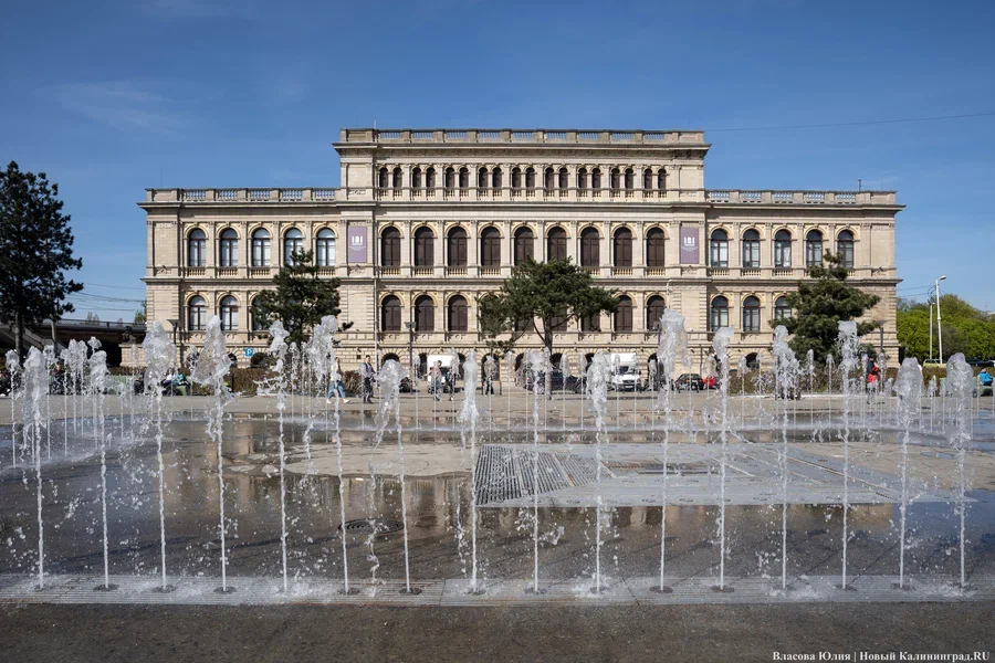 Фото: Юлия Власова / «Новый Калининград»
