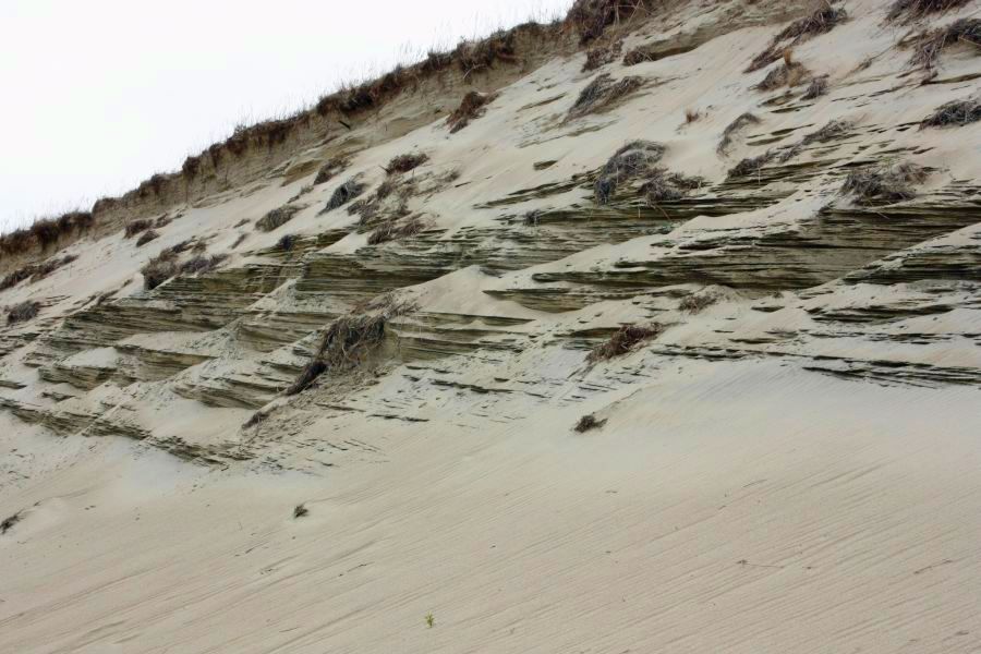 «Литовская цивилизация»: фоторепортаж «Нового Калининграда.Ru» 