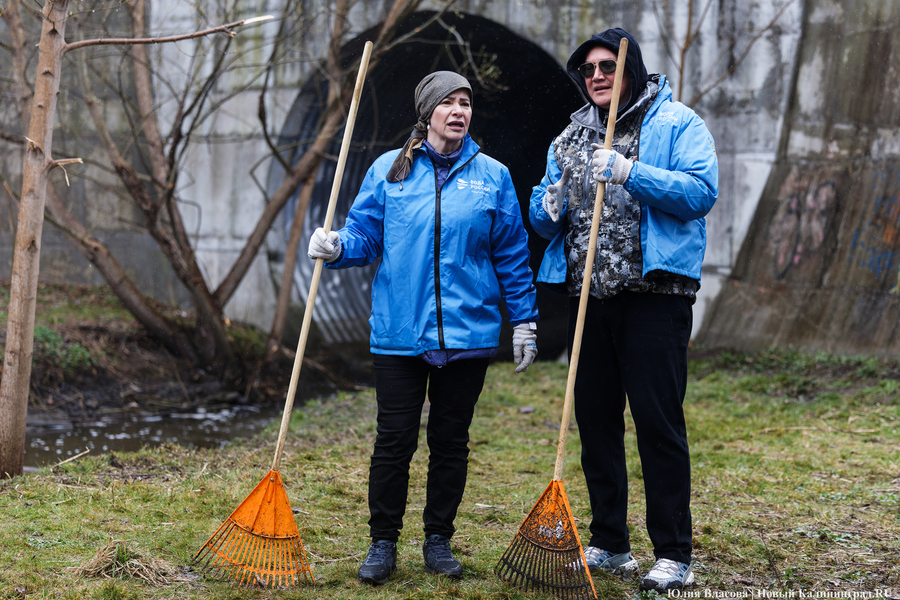 «Коммунальный Новый год»: как в Калининграде прошёл общегородской субботник