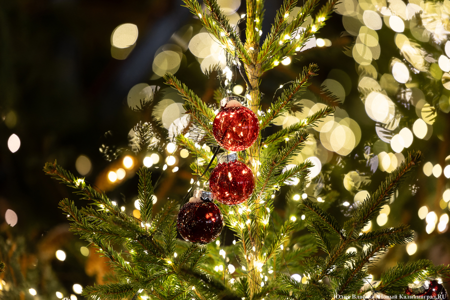 Власти о подготовке к Новому году: интенсивно украшать начнём со следующей недели