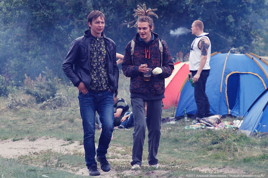 "Насекомая страна": фоторепортаж "Афиши Нового Калининграда.Ru"