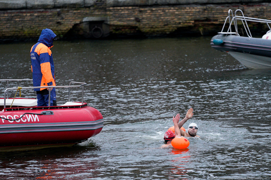 День моржа: как пловцы пытались защитить экосистему Преголи (фото)