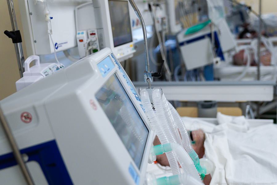 В Калининградской области вновь выросла суточная выявляемость COVID-19