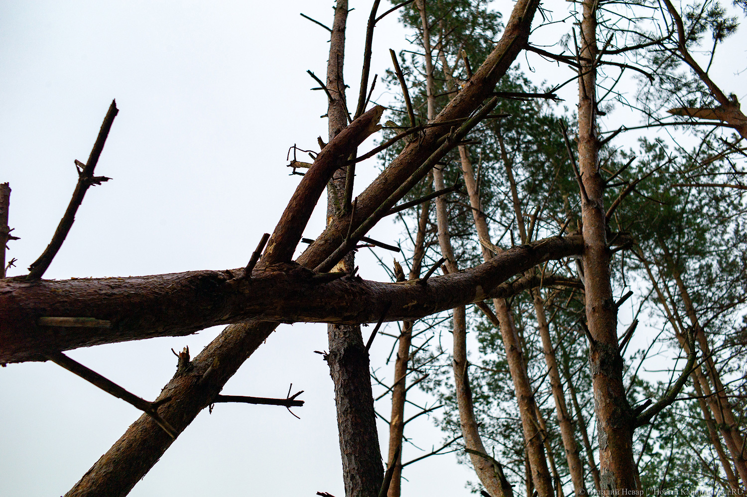 Больше всего досталось 4 муниципалитетам: власти рассказали о последствиях шторма