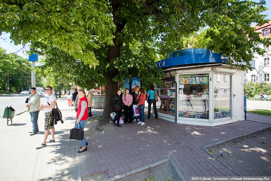 Пустые прилавки: как в Калининграде вступил в силу антитабачный закон