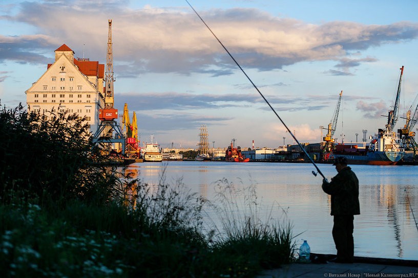 Участники отрасли выступили против создания госкомпании по лову рыбы