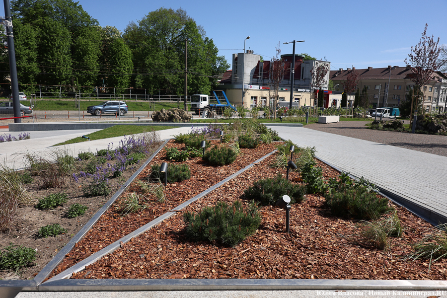 На площади у Дома искусств завершается благоустройство. Вот как она выглядит (фото)