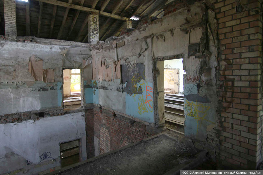 «Куда ушли детские сады»: фоторепортаж «Нового Калининграда.Ru»