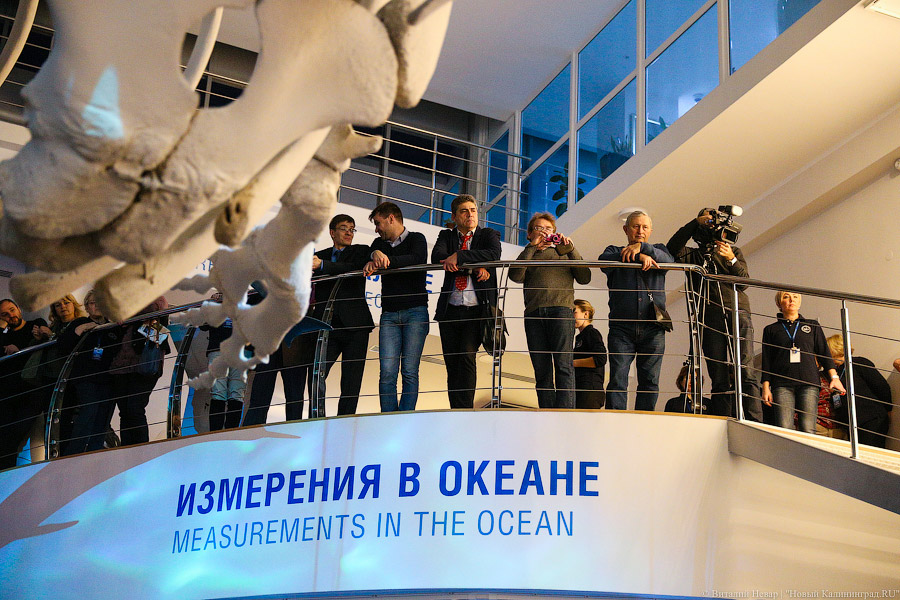 На уникальной глубине: что представляет собой новый комплекс ММО