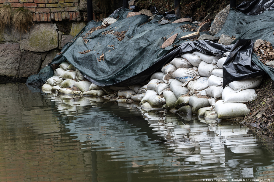 Непролазная грязь: как выглядит берег Литовского ручья в ожидании реновации (фото)