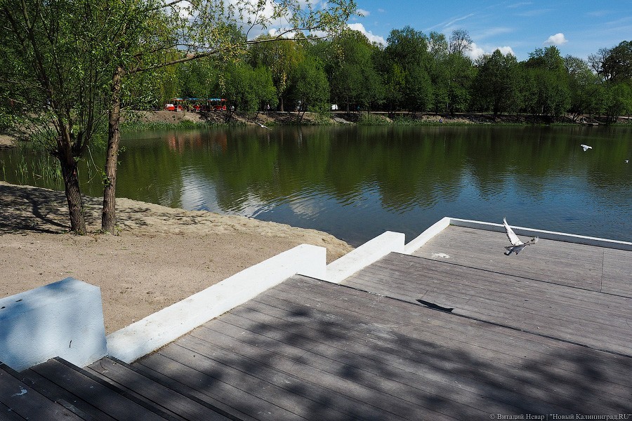 На Летнем озере в Калининграде разваливается терраса, построенная в мае (фото)