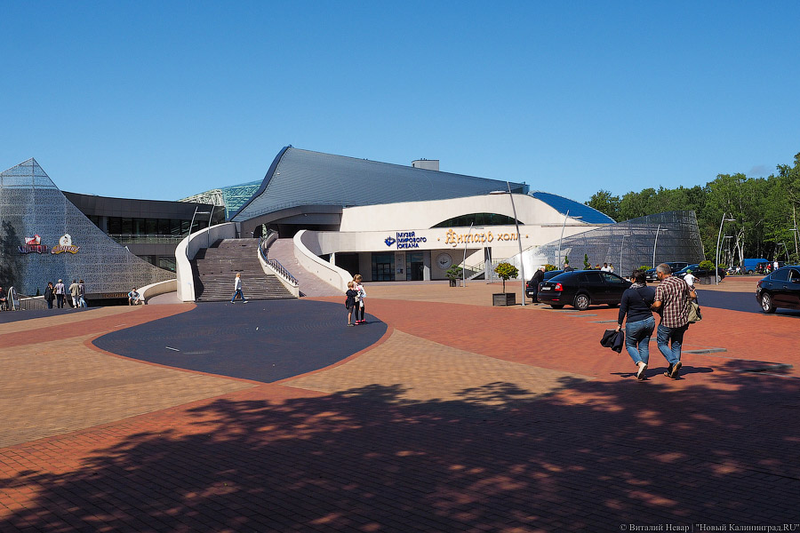 «Янтарь-холл» выделил полмиллиона рублей на размещение рекламных роликов на ТВ