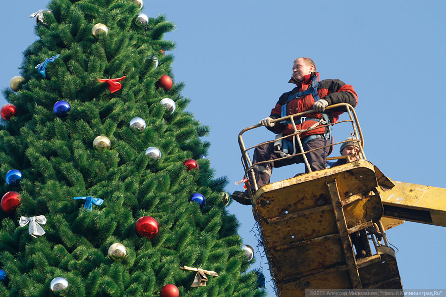 "Много на ёлочке шариков цветных": фоторепортаж "Нового Калининграда.Ru"