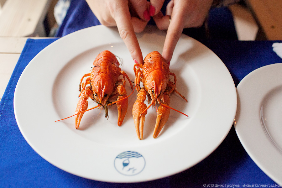 Где раки зимуют: владелец рачевни «Поплавок» Виталий Лозинский