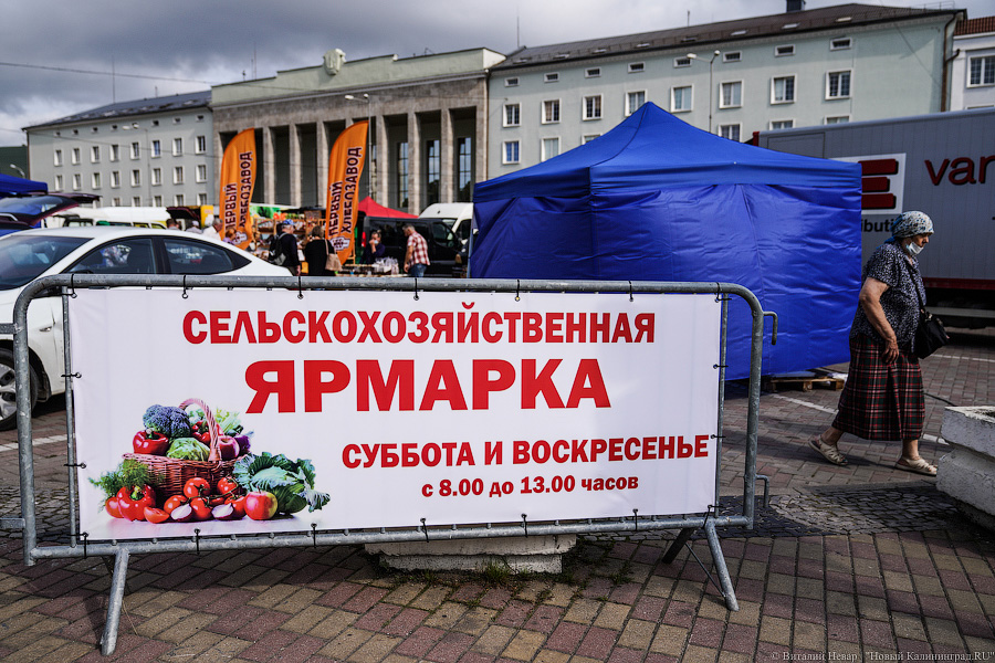Меняется режим работы ярмарки выходного дня на площади Победы в Калининграде