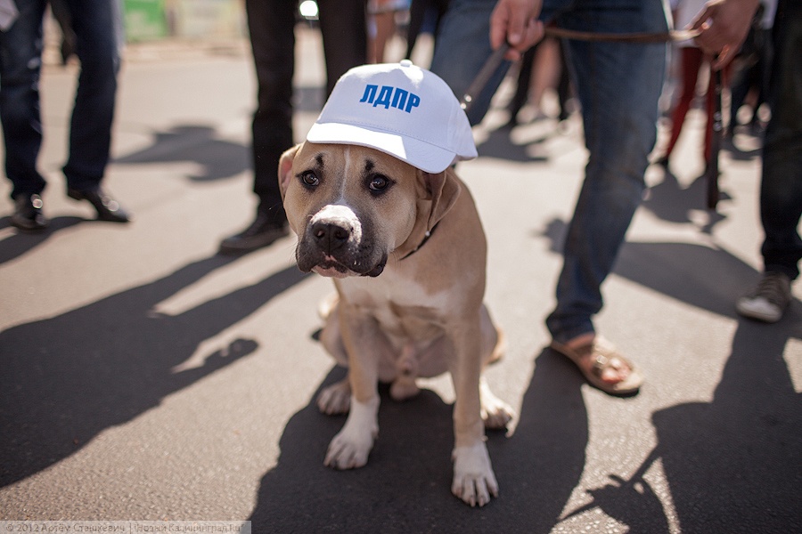 «Без труда»: фоторепортаж «Нового Калининграда.Ru»