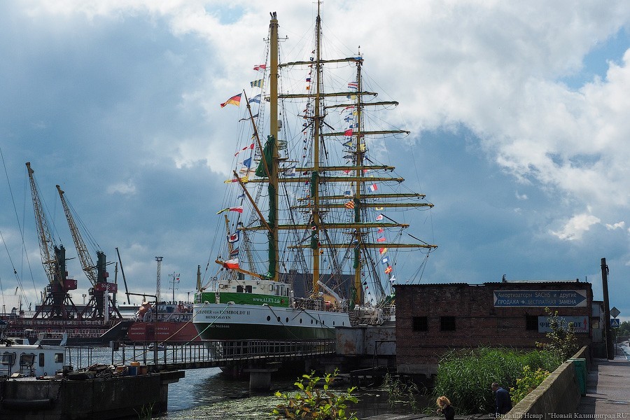«Александр фон Гумбольдт II»: в Калининграде ошвартовался немецкий барк (фото)