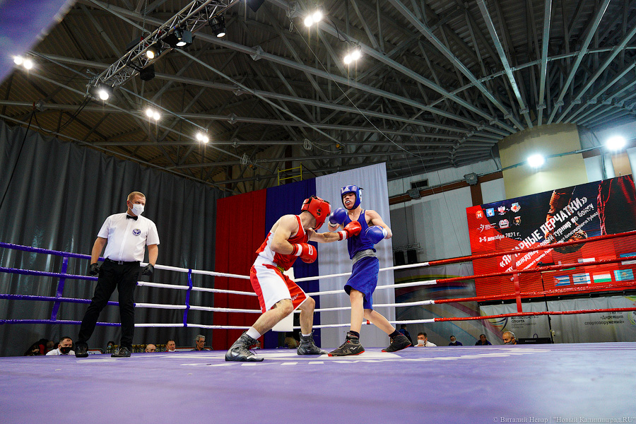 Очередной нокдаун: в Калининграде прошёл международный турнир по боксу «Янтарные перчатки»