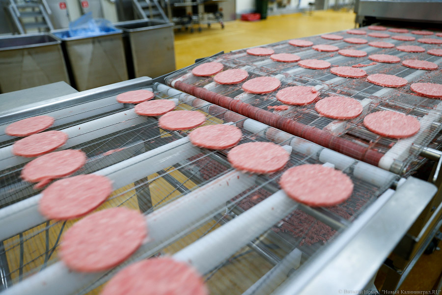 Галопом по котлетам: главе Минсельхоза РФ показали два завода в Калининграде