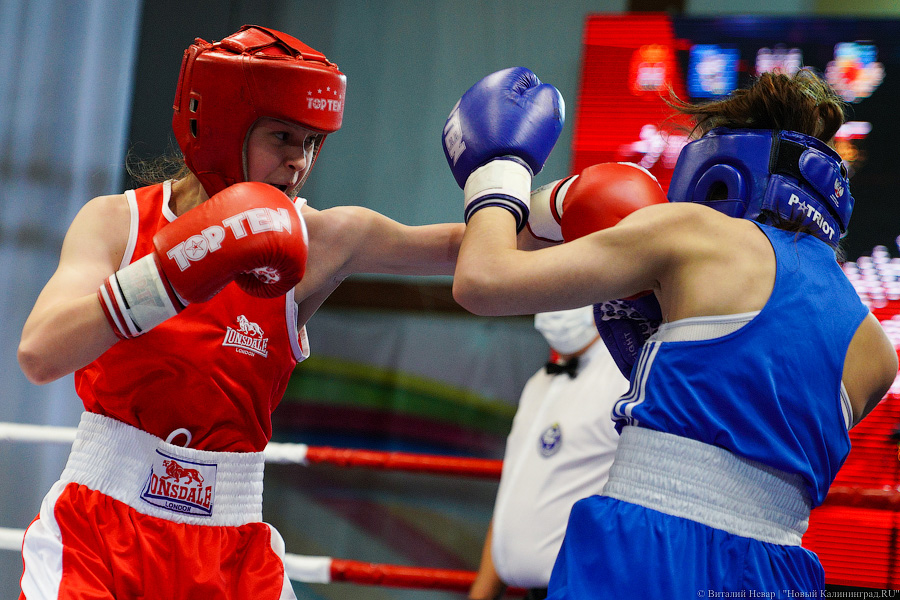 Очередной нокдаун: в Калининграде прошёл международный турнир по боксу «Янтарные перчатки»