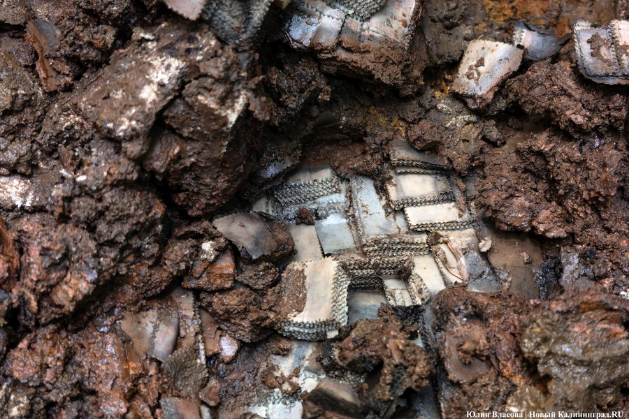 Настоящие подземелья Кёнигсберга: что находится в открывшемся провале на острове Канта (фото)