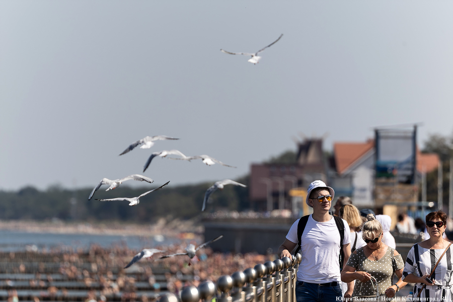 Погода в Калининградской области 20 сентября 