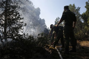 Полиция: по факту пожара на Куршской косе возбуждено уголовное дело