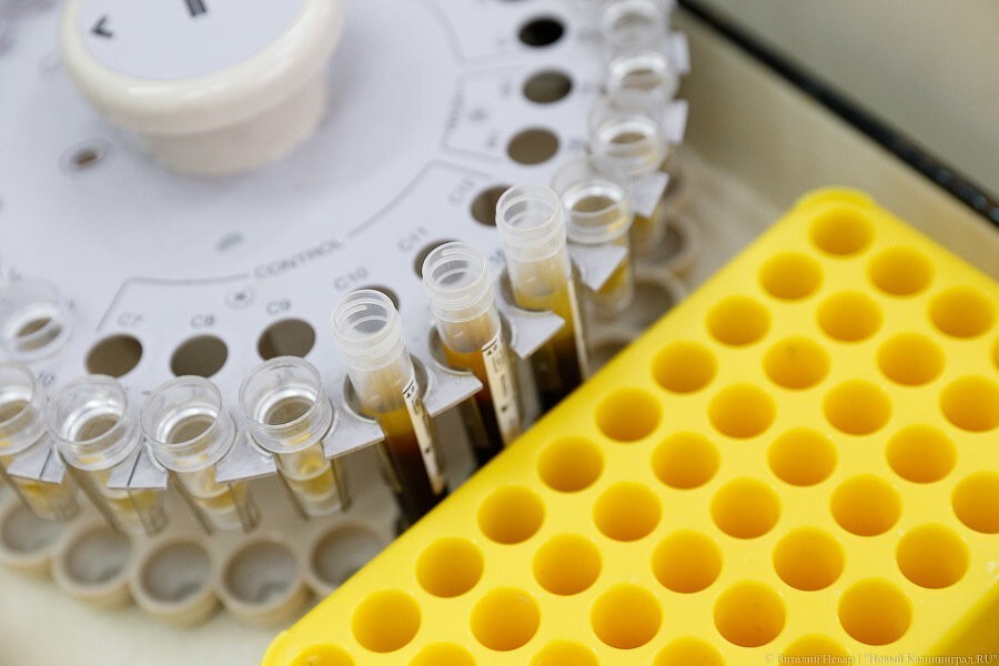 Правительство Польши отменило массовые мероприятия в стране