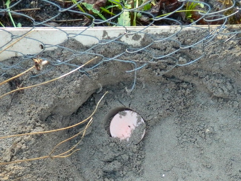 В Калининградской области задержан один из главных наркоторговцев в регионе (+фото)