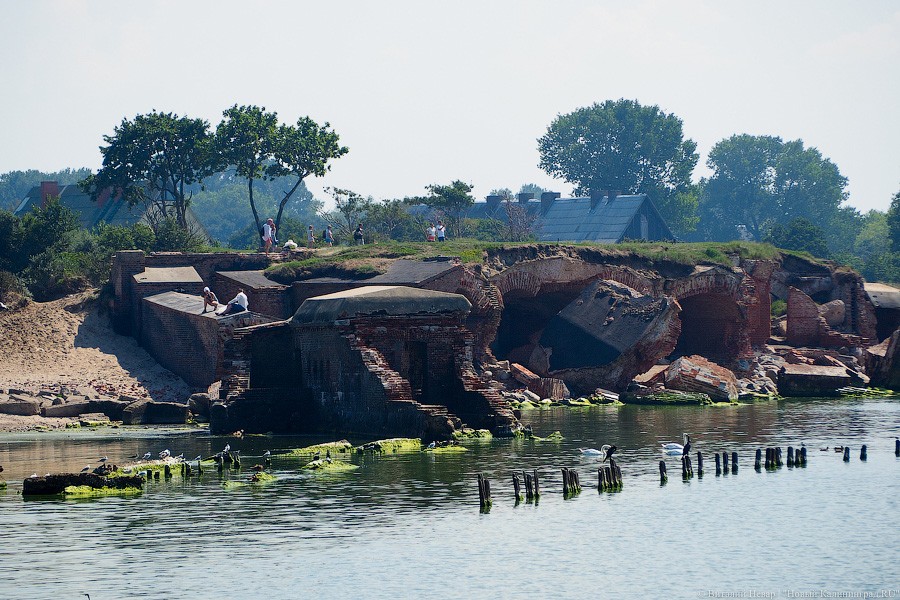 Фото — Виталий Невар, «Новый Калининград»