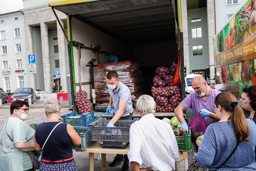 Базар-вокзал: как проходит сельхозярмарка на площади Победы в Калининграде
