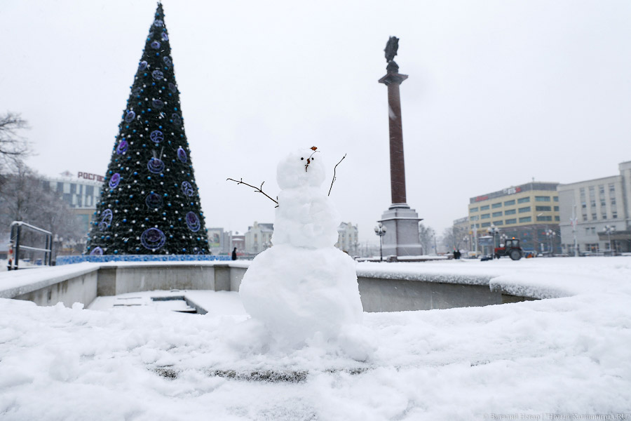 Белый снег, серый лёд: зима в Калининграде (фото)