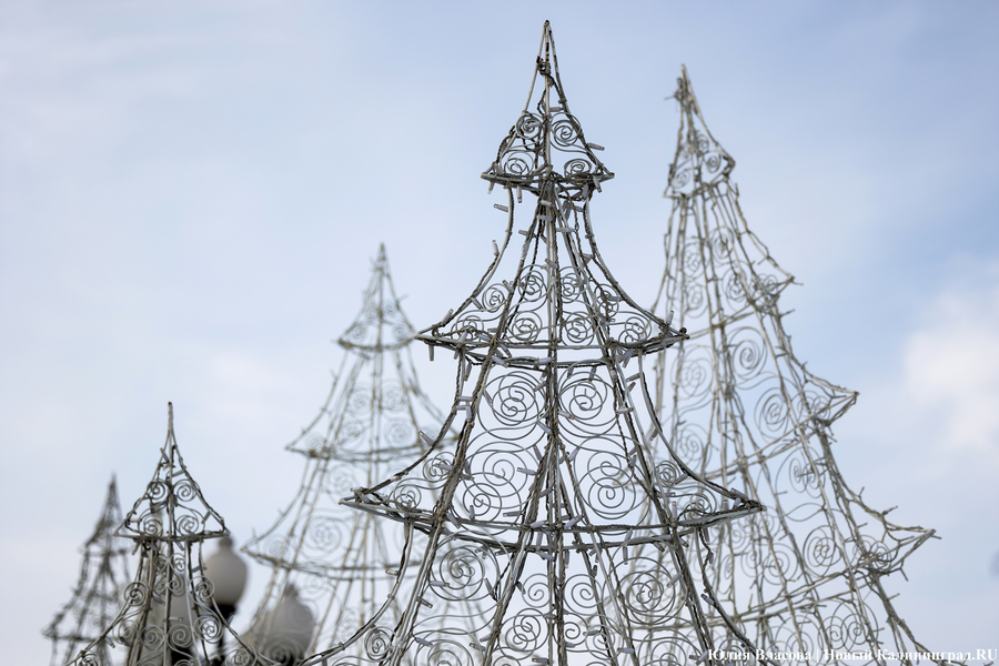 Символ без праздника: на площади Победы установили главную городскую ёлку (фото)