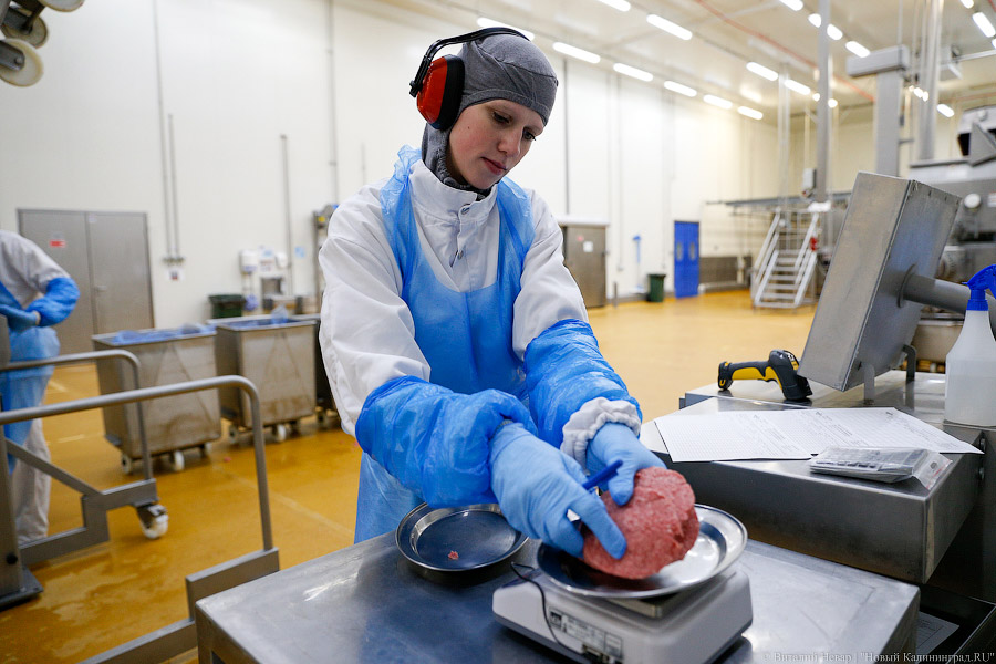 Галопом по котлетам: главе Минсельхоза РФ показали два завода в Калининграде