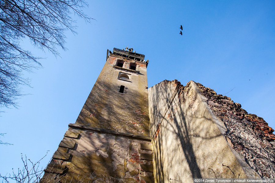Две башни: руины кирх в поселках Дальнее и Высокое Гвардейского и Славского районов