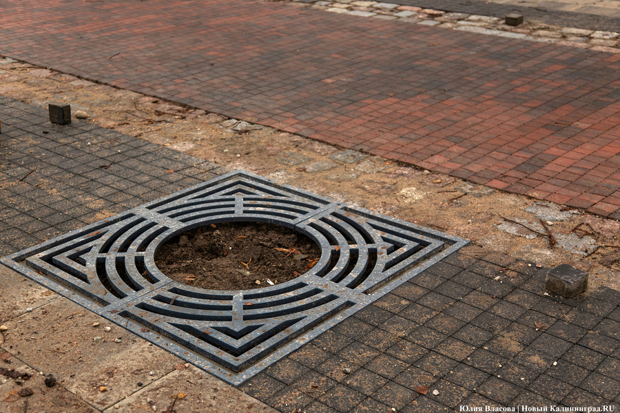 50 оттенков коричневого: как выглядит после ремонта Фестивальная аллея (фото)