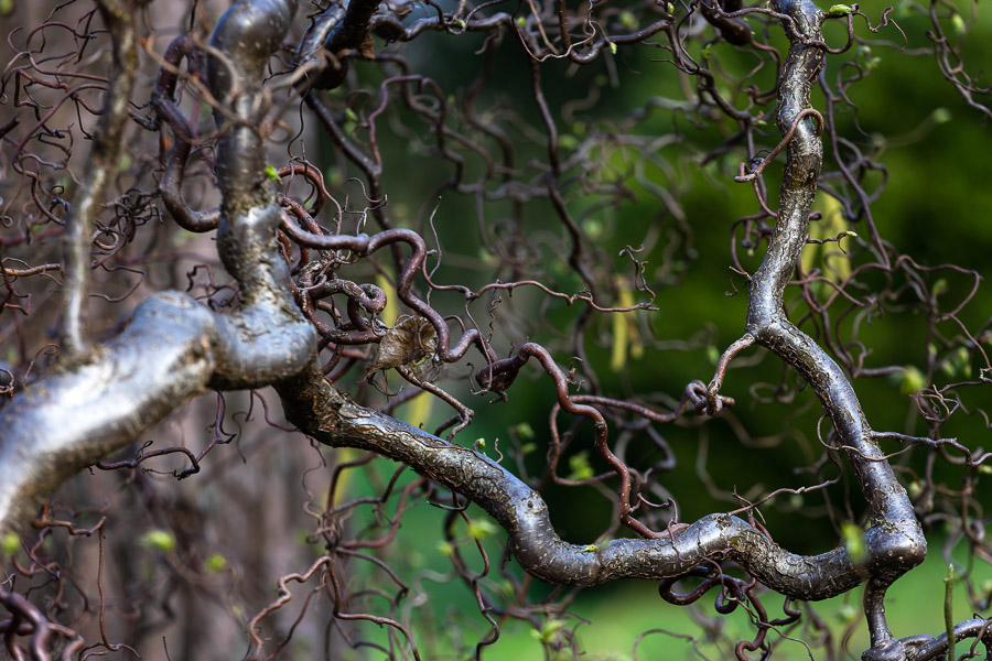 Сбор ДНК, конец географии, смерть и налоги: нововведения мая