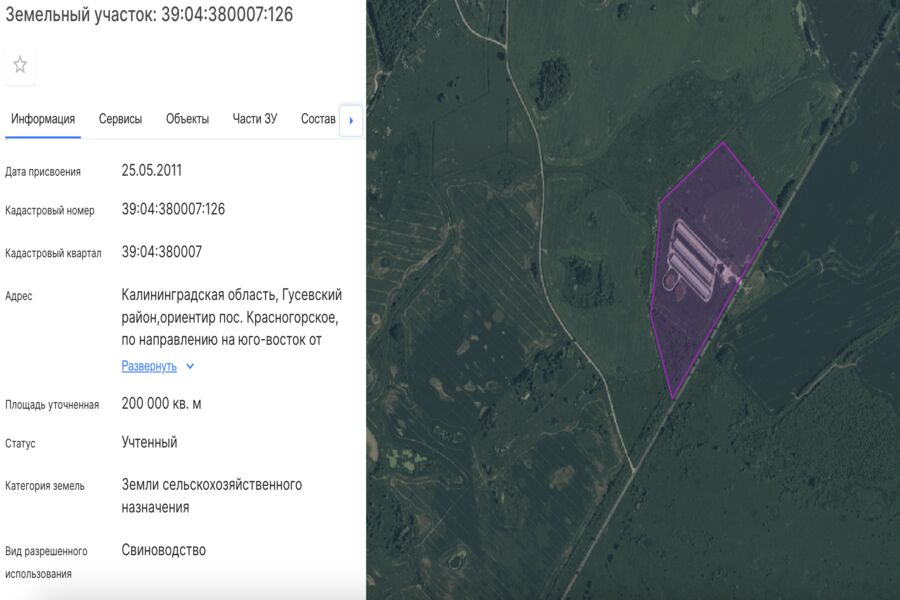 Под Гусевом разрешили построить откормочник на 4000 голов 