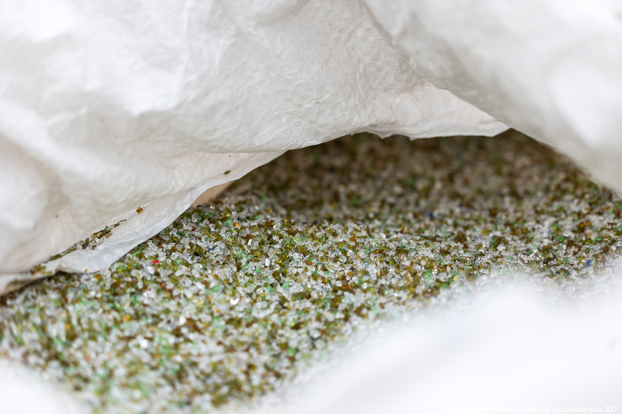 «Ничего на свалку не уйдет»: в Калининграде стали раздельно собирать 14 видов отходов (фото)