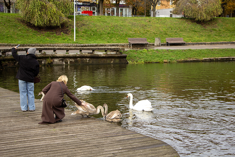 Похолодание и вероятность первого снега: прогноз погоды в Калининграде на неделю