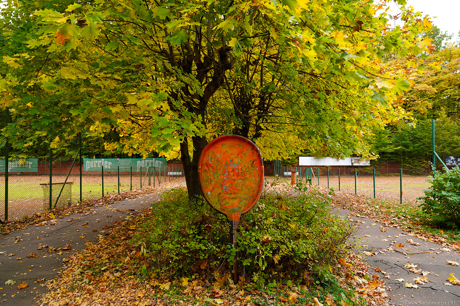 Увидеть в последний раз: осень на стадионе «Спартак», который хотят застроить (фото)