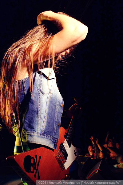 "Насекомая страна": фоторепортаж "Афиши Нового Калининграда.Ru"