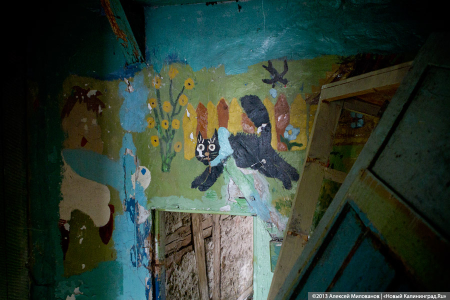 Конец Чехоши: школа поселка Чехово в фотопроекте «Пустые дома»