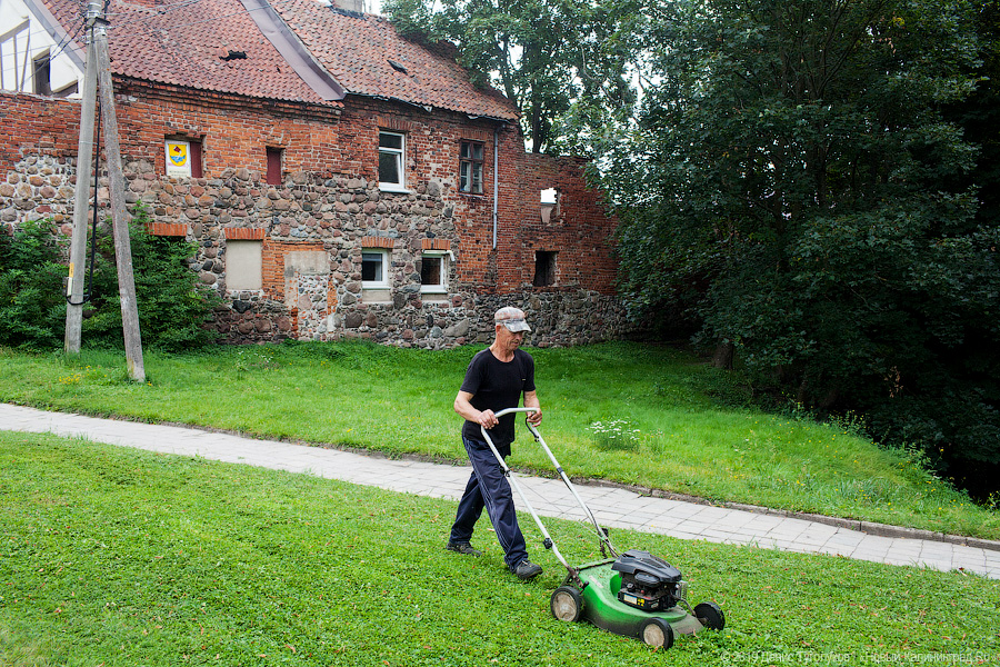Мэрия Калининграда о высохших газонах: «Просим рабочих не скашивать под ноль»