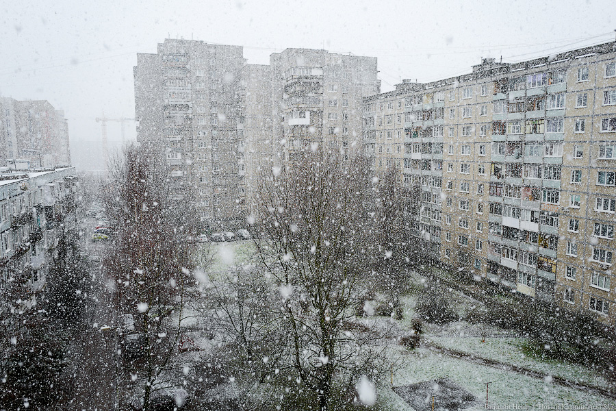 Арктическое вторжение: в выходные в Калининградской области ожидаются ночные заморозки до −4°